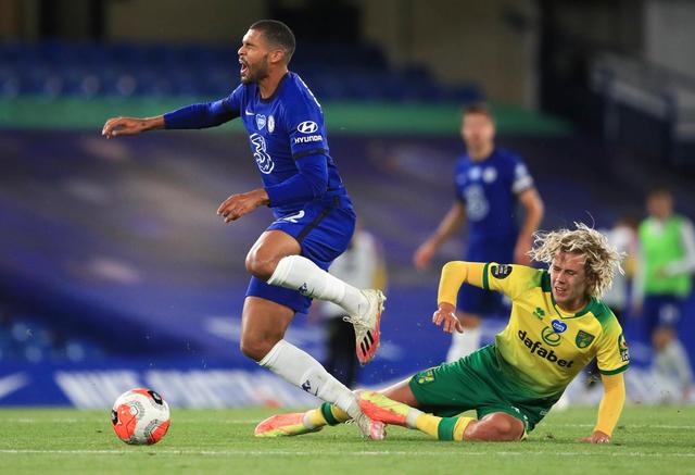 灰熊栖息地与生态保护:探讨北美森林中的超级捕食者生存挑战